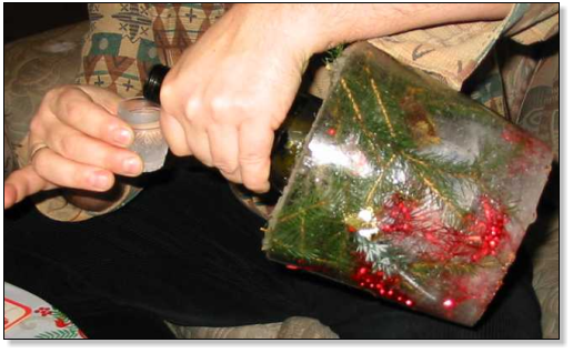 sorbet à l'akvavit 2