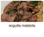anguille matelote