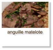 anguille matelote