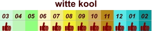 01 02 03 04 07 05 09 10 08 11 12 06 witte kool