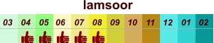 01 02 03 04 07 05 09 10 08 11 12 06 lamsoor