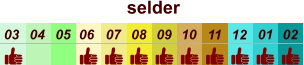 01 02 03 04 07 05 09 10 08 11 12 06 selder