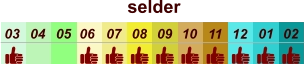 01 02 03 04 07 05 09 10 08 11 12 06 selder