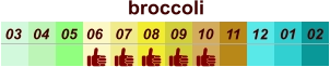 01 02 03 04 07 05 09 10 08 11 12 06 broccoli