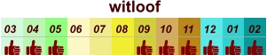 witloof  01 02 03 04 07 05 09 10 08 11 12 06