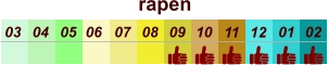 rapen  01 02 03 04 07 05 09 10 08 11 12 06