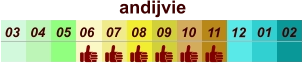 andijvie  01 02 03 04 07 05 09 10 08 11 12 06