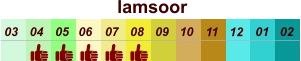 01 02 03 04 07 05 09 10 08 11 12 06 lamsoor