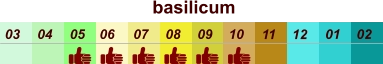 01 02 03 04 07 05 09 10 08 11 12 06 basilicum