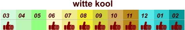 01 02 03 04 07 05 09 10 08 11 12 06 witte kool