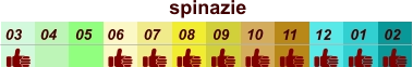 spinazie  01 02 03 04 07 05 09 10 08 11 12 06
