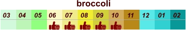 01 02 03 04 07 05 09 10 08 11 12 06 broccoli