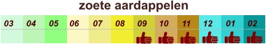 zoete aardappelen  01 02 03 04 07 05 09 10 08 11 12 06