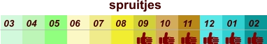01 02 03 04 07 05 09 10 08 11 12 06 spruitjes