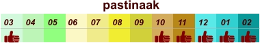 pastinaak  01 02 03 04 07 05 09 10 08 11 12 06