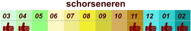 01 02 03 04 07 05 09 10 08 11 12 06 schorseneren