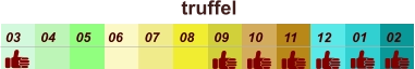 01 02 03 04 07 05 09 10 08 11 12 06 truffel