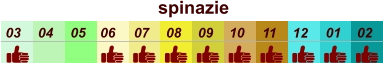 spinazie  01 02 03 04 07 05 09 10 08 11 12 06