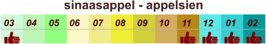 sinaasappel - appelsien  01 02 03 04 07 05 09 10 08 11 12 06