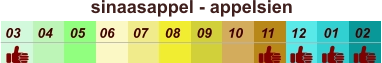 sinaasappel - appelsien  01 02 03 04 07 05 09 10 08 11 12 06