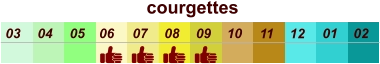 courgettes  01 02 03 04 07 05 09 10 08 11 12 06