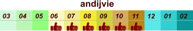 andijvie  01 02 03 04 07 05 09 10 08 11 12 06