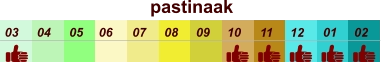 pastinaak  01 02 03 04 07 05 09 10 08 11 12 06