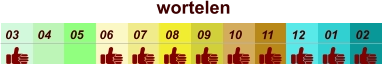 01 02 03 04 07 05 09 10 08 11 12 06 wortelen