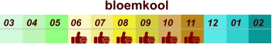 bloemkool  01 02 03 04 07 05 09 10 08 11 12 06