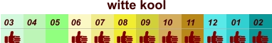 01 02 03 04 07 05 09 10 08 11 12 06 witte kool