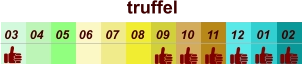 01 02 03 04 07 05 09 10 08 11 12 06 truffel