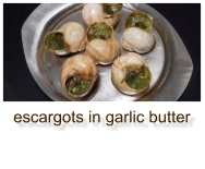 escargots in garlic butter