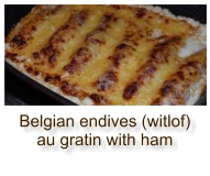Belgian endives (witlof) au gratin with ham