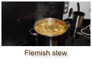 Flemish stew