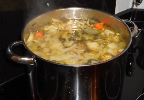 Flemish stew