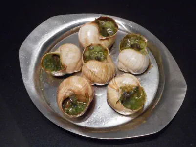 escargots in garlic butter