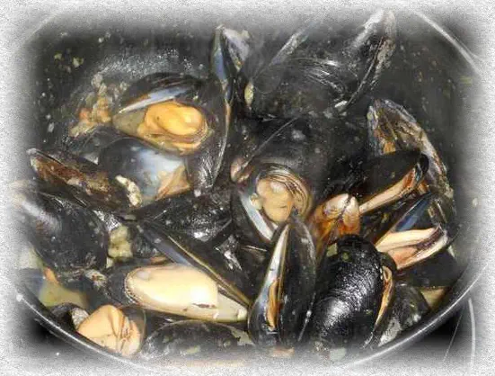 mussels with fries