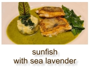 sunfish with sea lavender