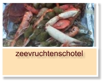 zeevruchtenschotel