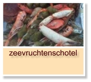 zeevruchtenschotel