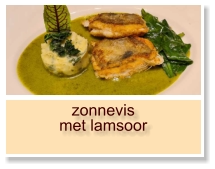 zonnevis met lamsoor