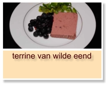 terrine van wilde eend 