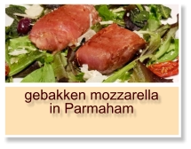 gebakken mozzarella in Parmaham