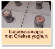 bosbessensapje met Griekse yoghurt