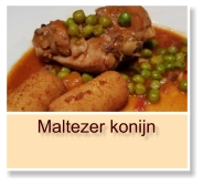 Maltezer konijn