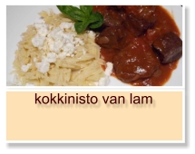 kokkinisto van lam