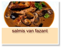 salmis van fazant