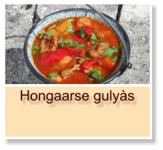 Hongaarse gulyàs