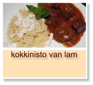 kokkinisto van lam
