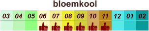 bloemkool  01 02 03 04 07 05 09 10 08 11 12 06